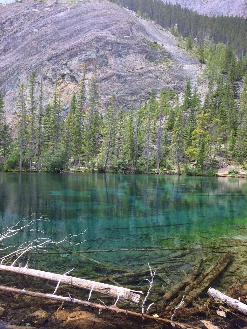 Grassi Lakes